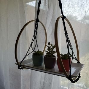 Succulent plant shelf